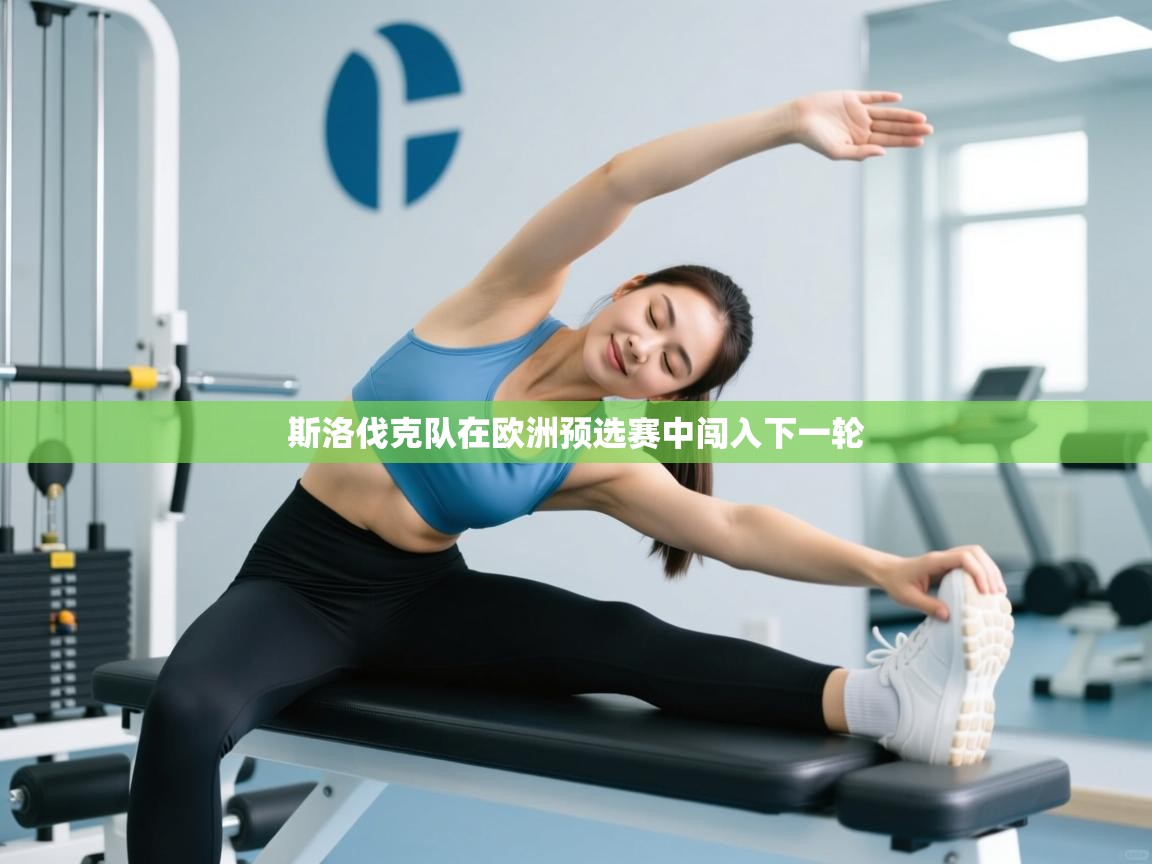 斯洛伐克队在欧洲预选赛中闯入下一轮  第2张