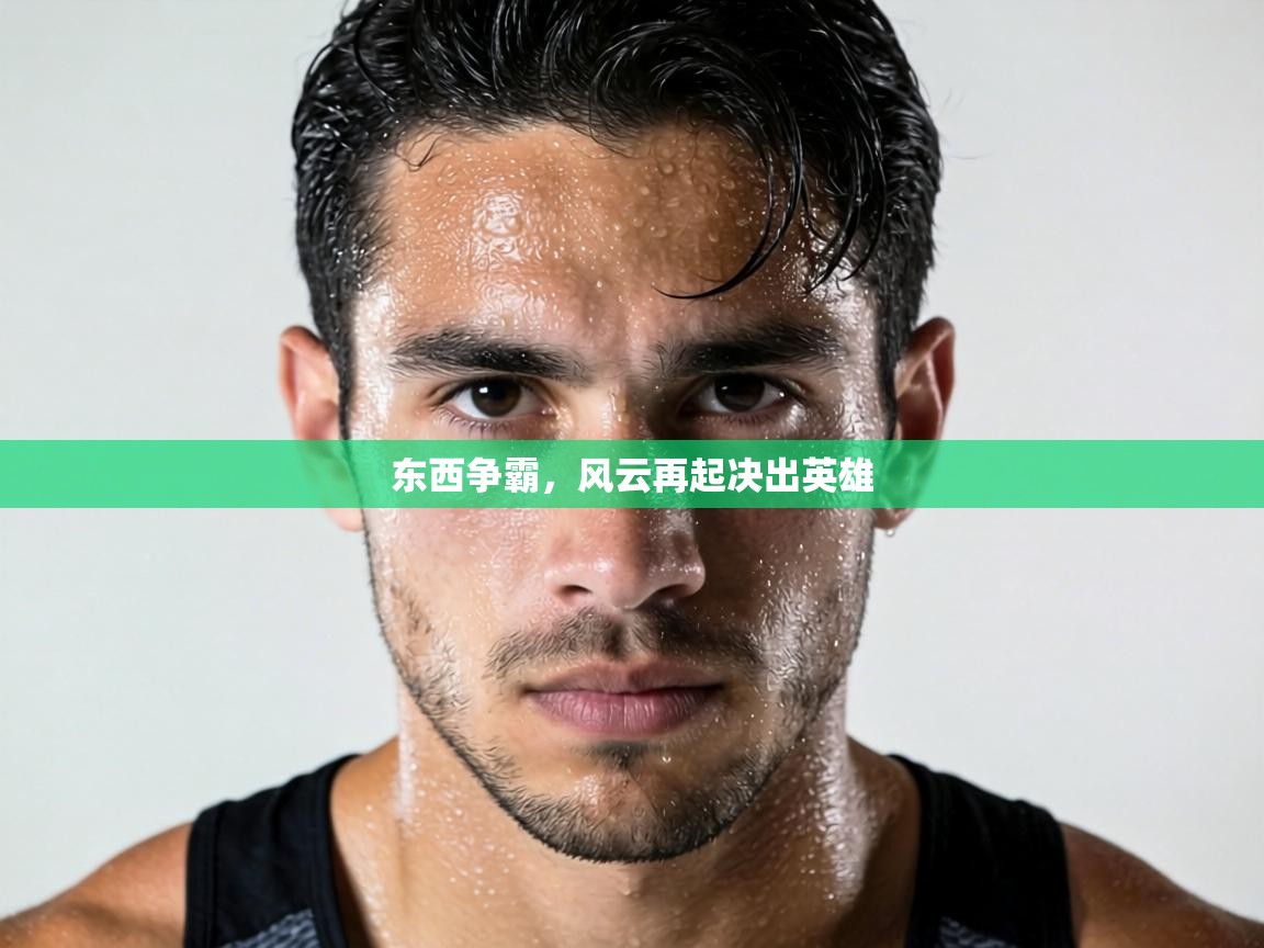 东西争霸,风云再起决出英雄 第2张